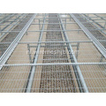 Seedling Bed Mesh- Gegalvaniseerde Gelaste Mesh Sheets